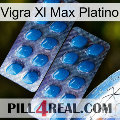 Vigra Xl Max Platinum viagra2